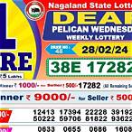 nagaland state lottery today result 8pm